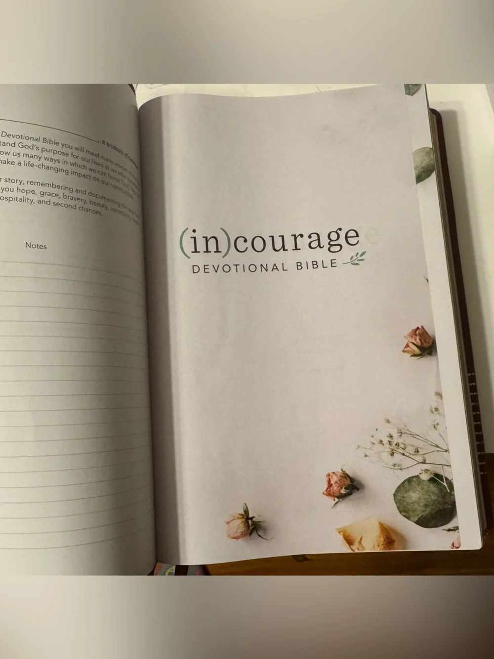 Holman Bibles selling brand